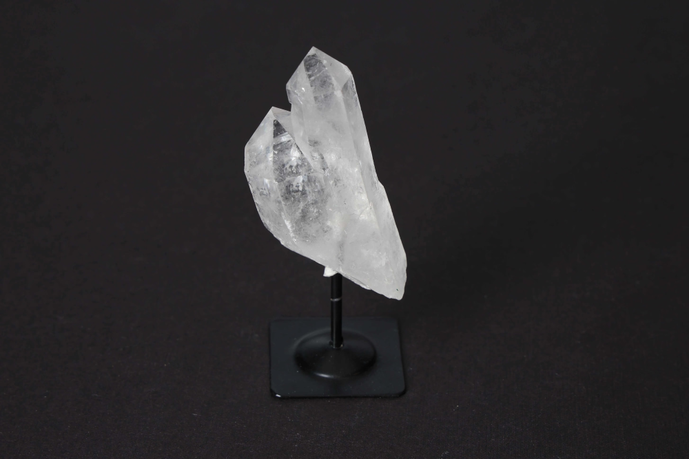 orbitvu|type:image2d