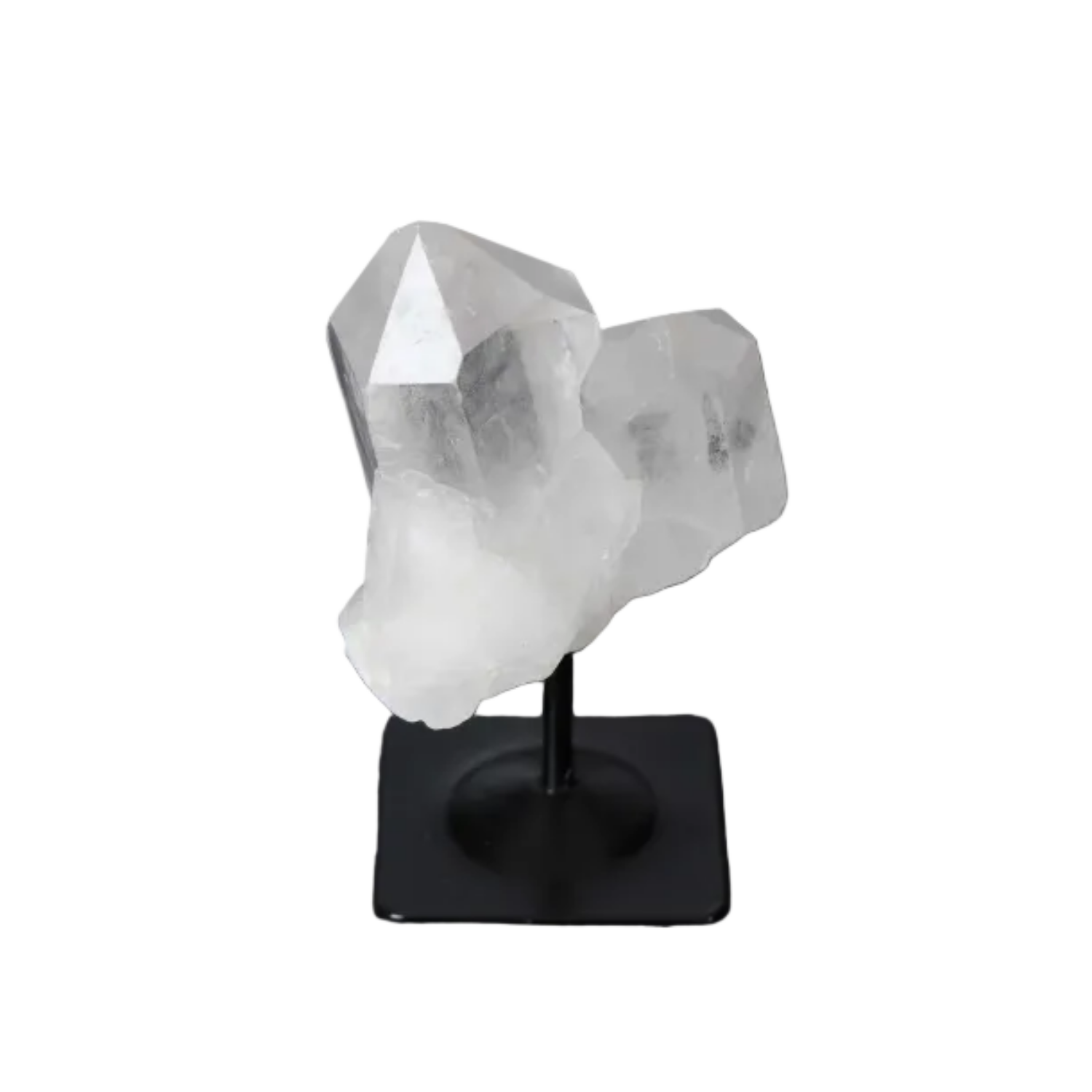 orbitvu|type:image2d