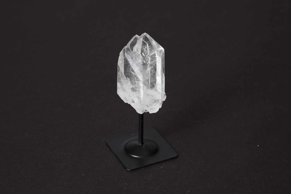orbitvu|type:image2d
