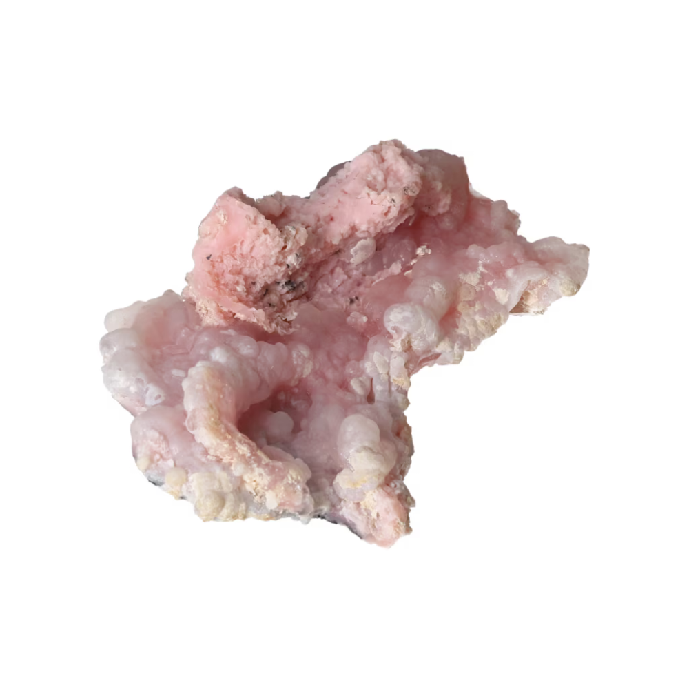 orbitvu|type:ORBITVU 360|https://orbitvu.co/share/EZCARpRPGvkxwfkfmCXejT/6557506/360/iframe