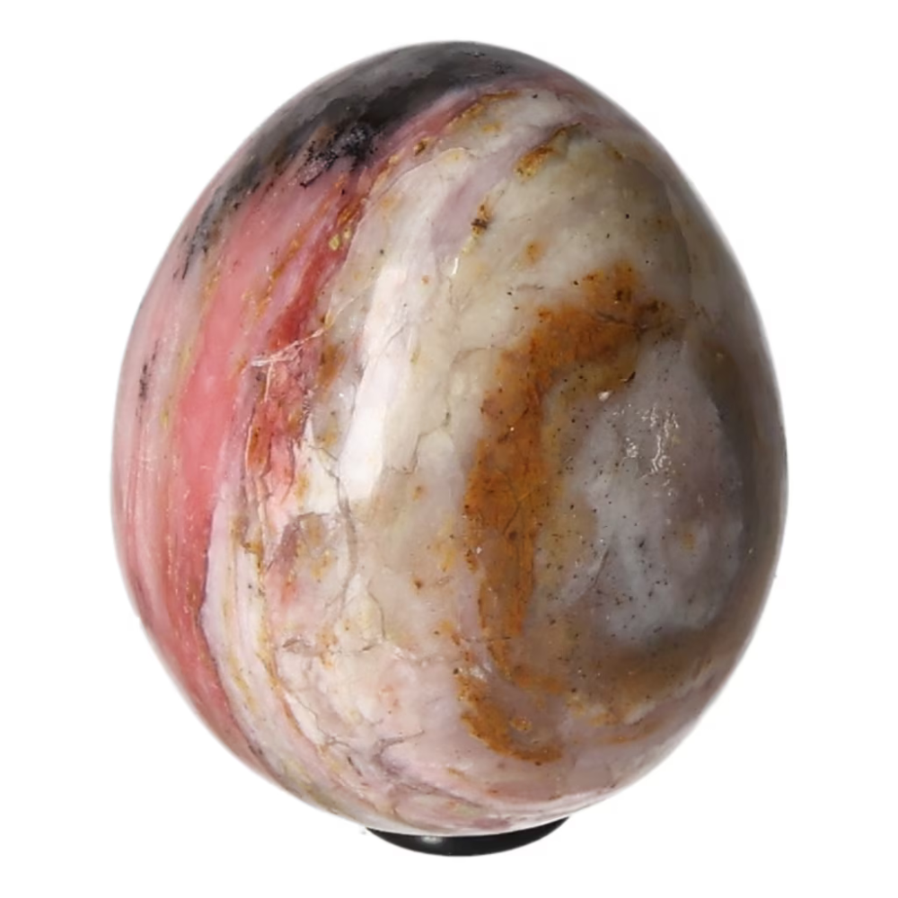 orbitvu|type:ORBITVU 360|https://orbitvu.co/share/AC8UJtU9GY2S5tcgUCvKZ5/6563504/360/iframe