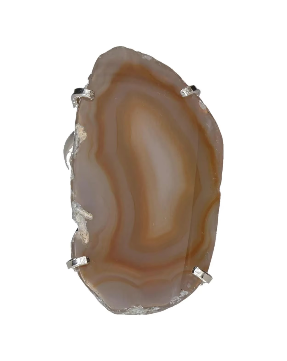 orbitvu|type:image2d