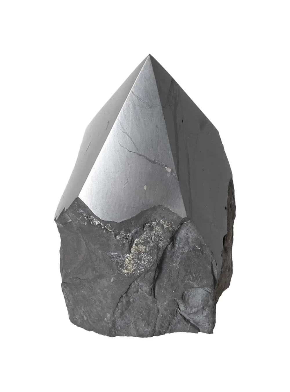 orbitvu|type:image2d