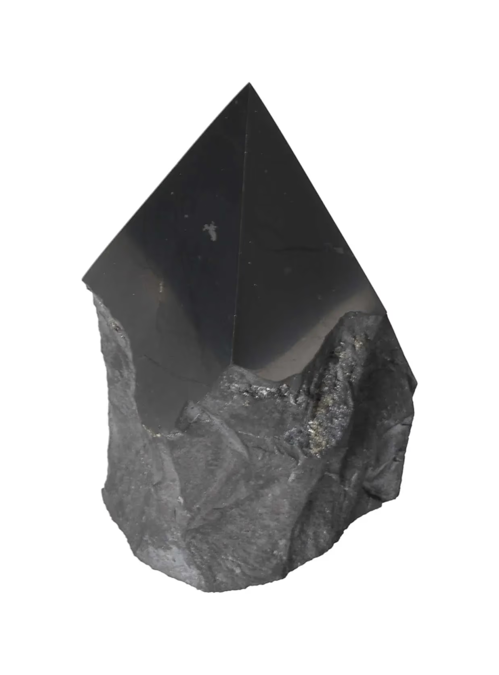 orbitvu|type:image2d