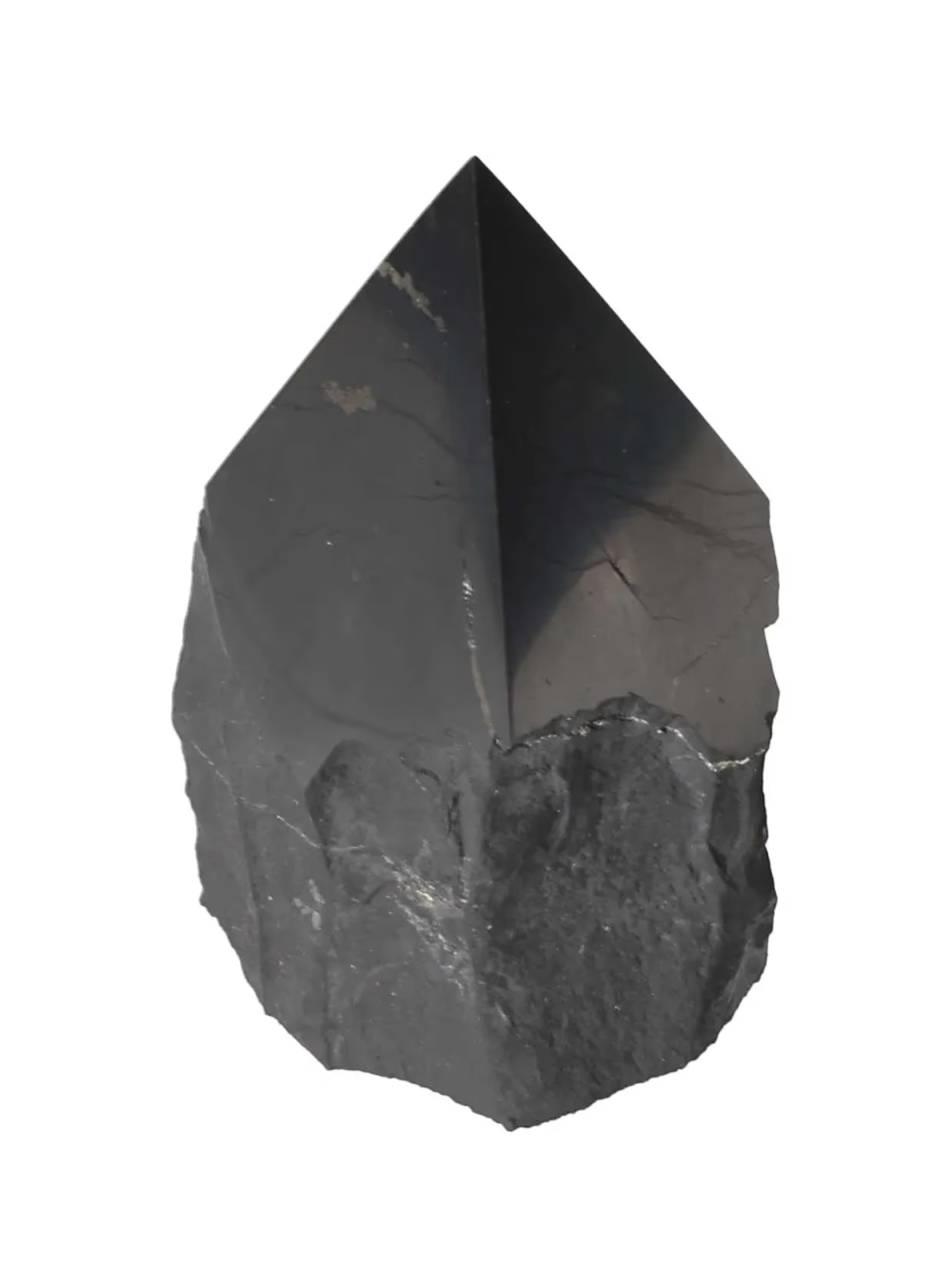 orbitvu|type:image2d