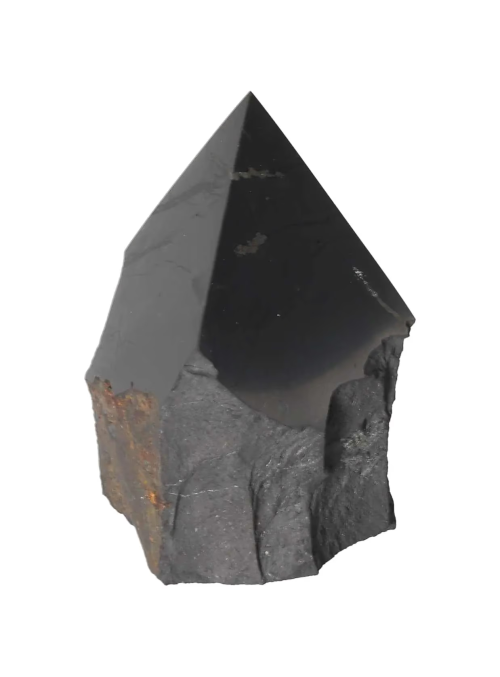 orbitvu|type:image2d