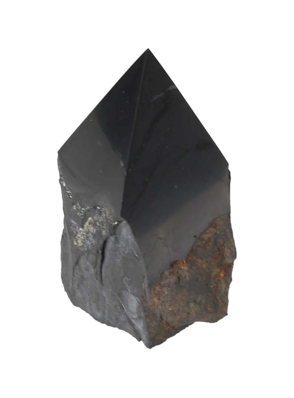 orbitvu|type:image2d