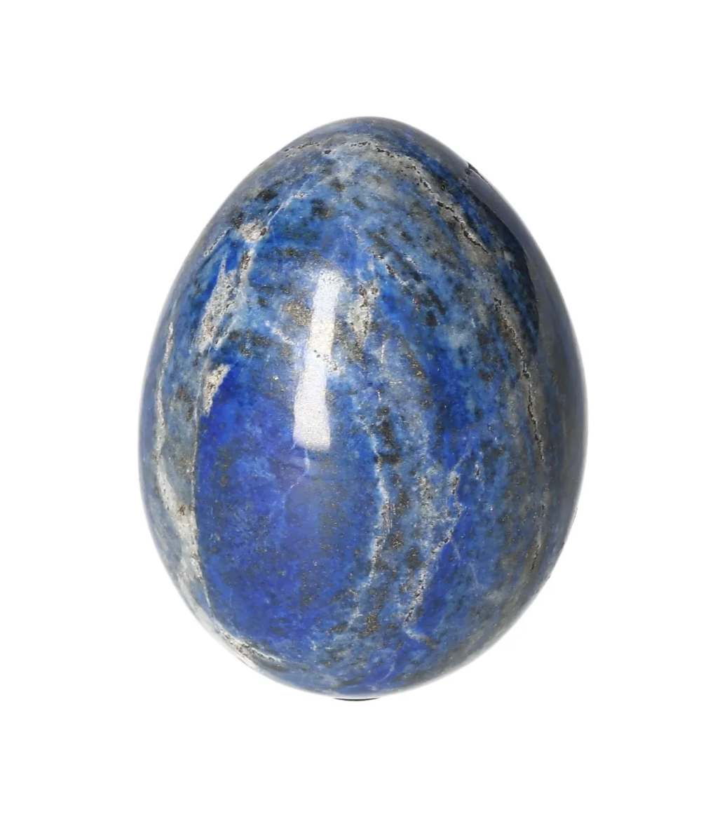 orbitvu|type:image2d