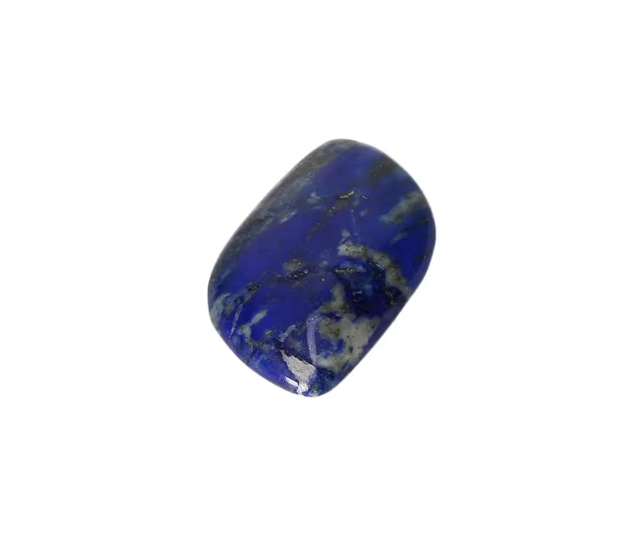 orbitvu|type:image2d