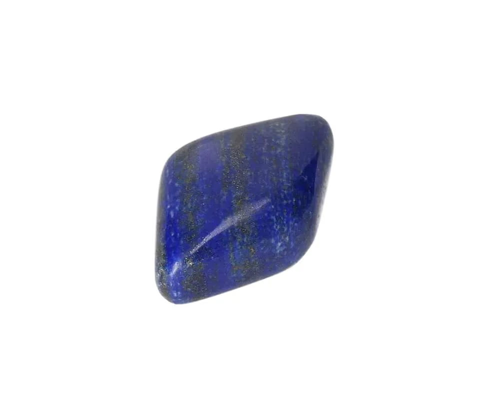 orbitvu|type:image2d