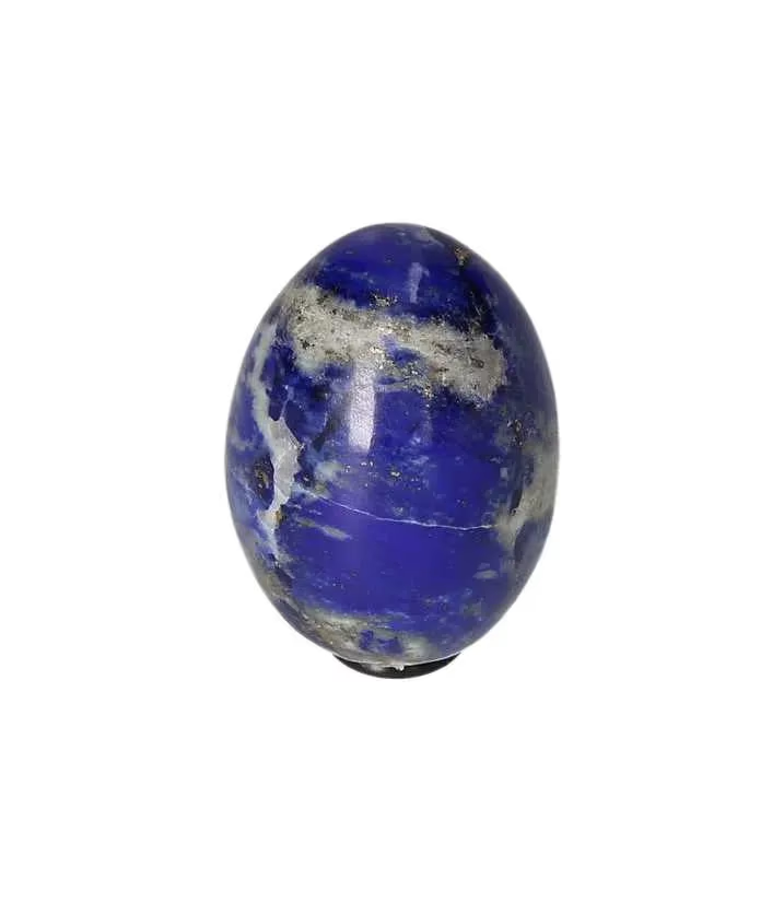 orbitvu|type:image2d