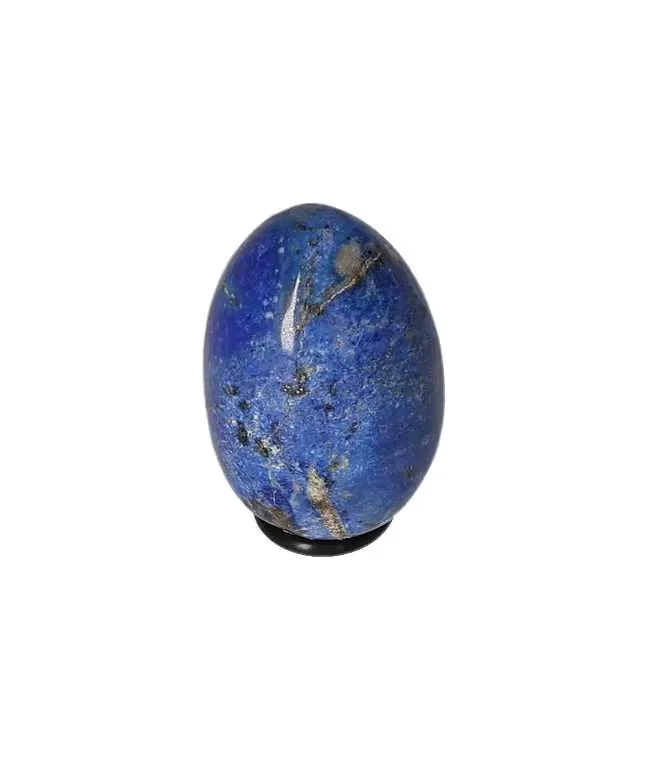 orbitvu|type:image2d