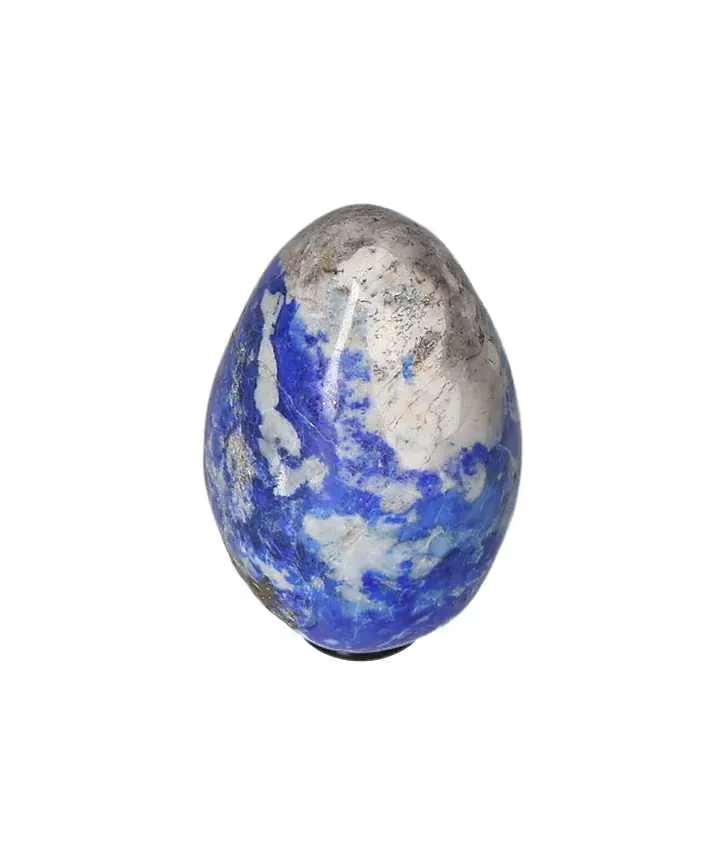 orbitvu|type:image2d