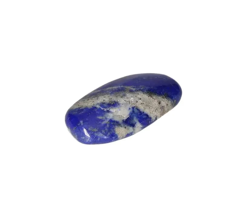 orbitvu|type:image2d