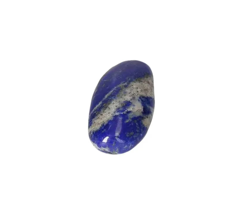 orbitvu|type:image2d