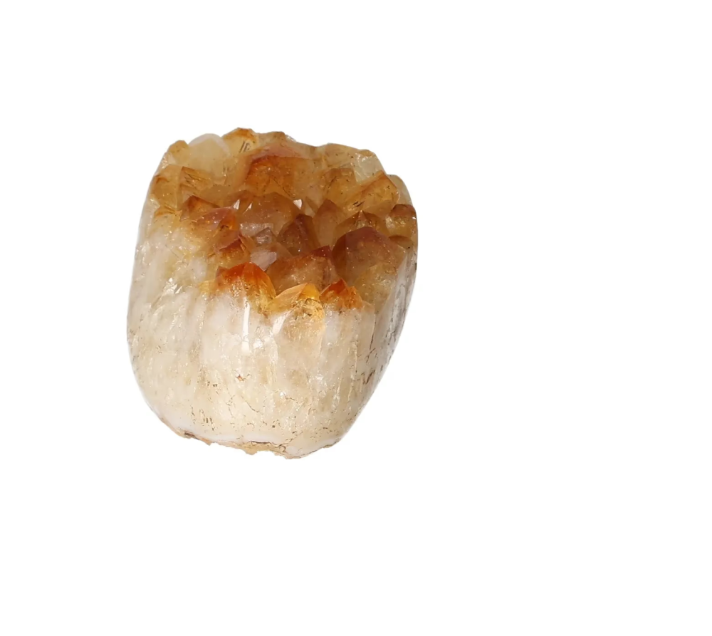 orbitvu|type:image2d