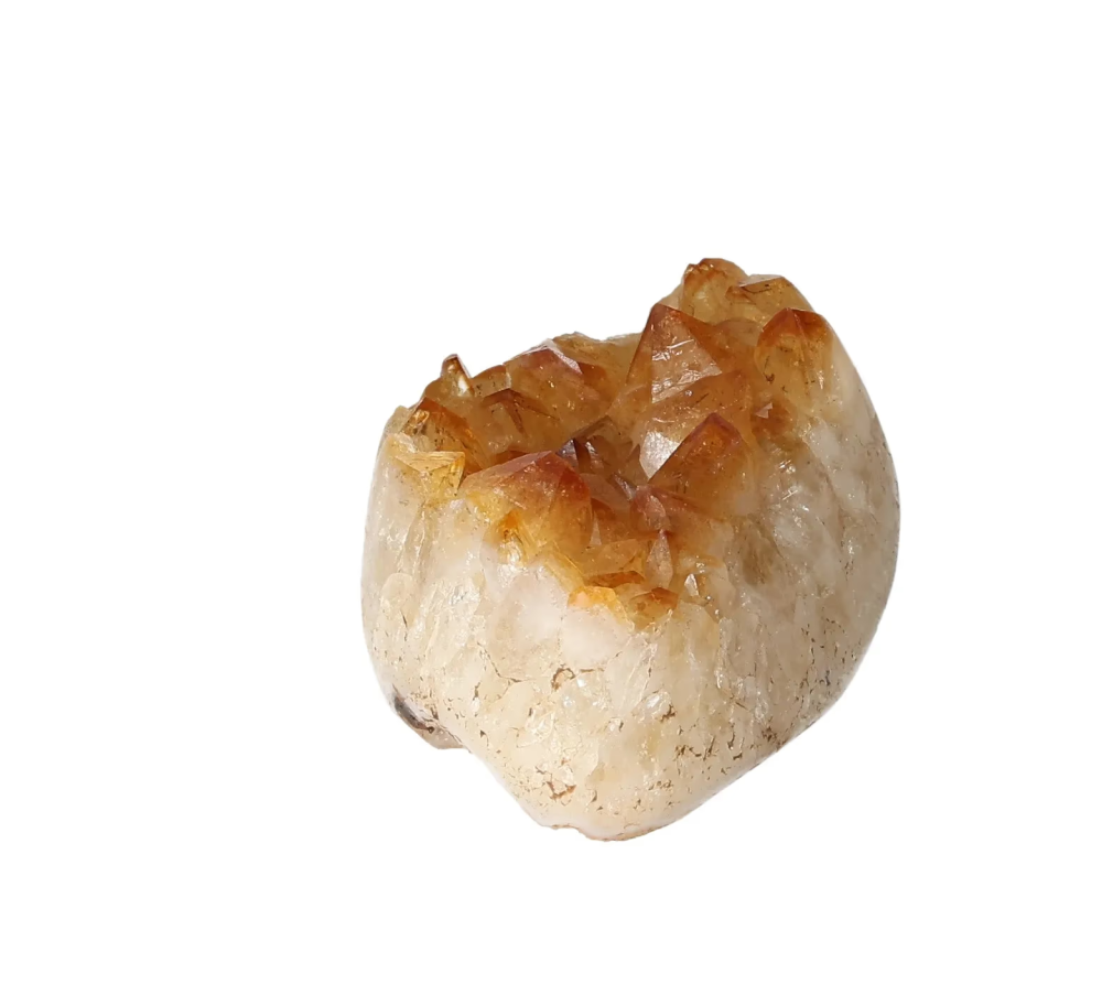 orbitvu|type:image2d