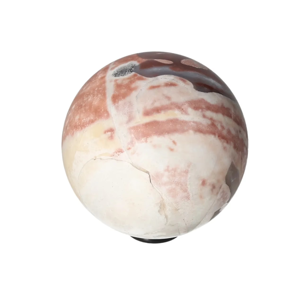 orbitvu|type:image2d