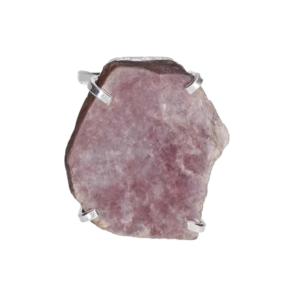 orbitvu|type:image2d