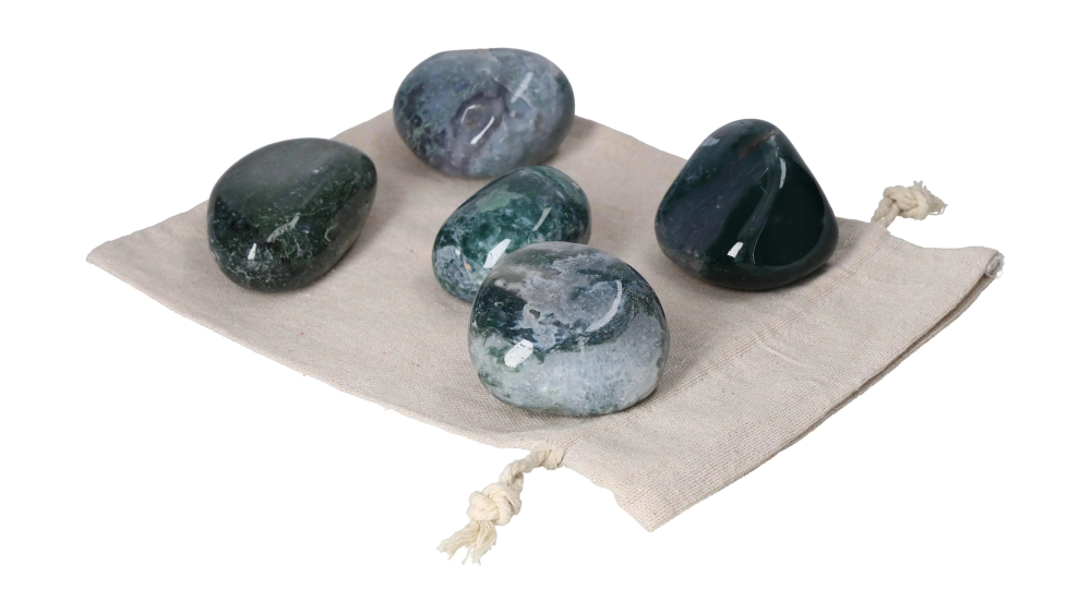 orbitvu|type:image2d