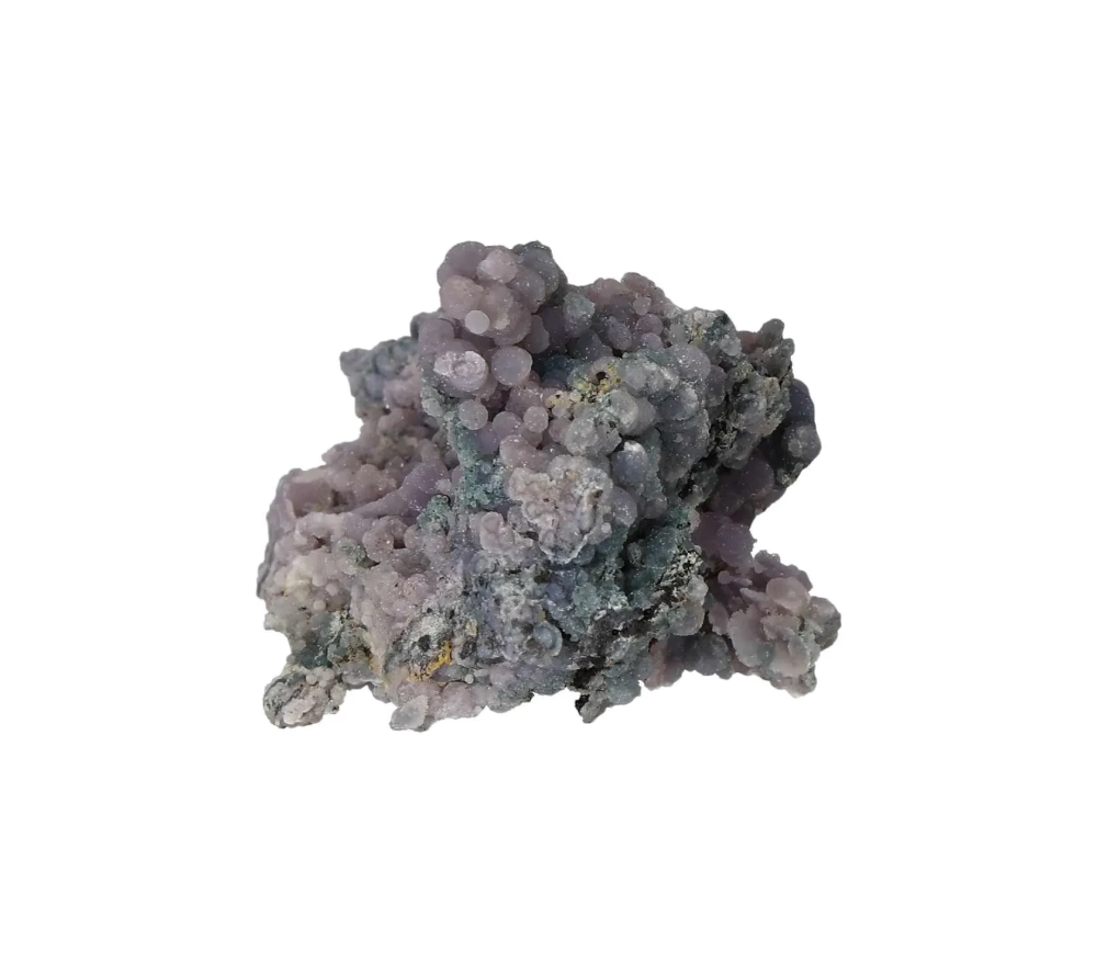 orbitvu|type:image2d