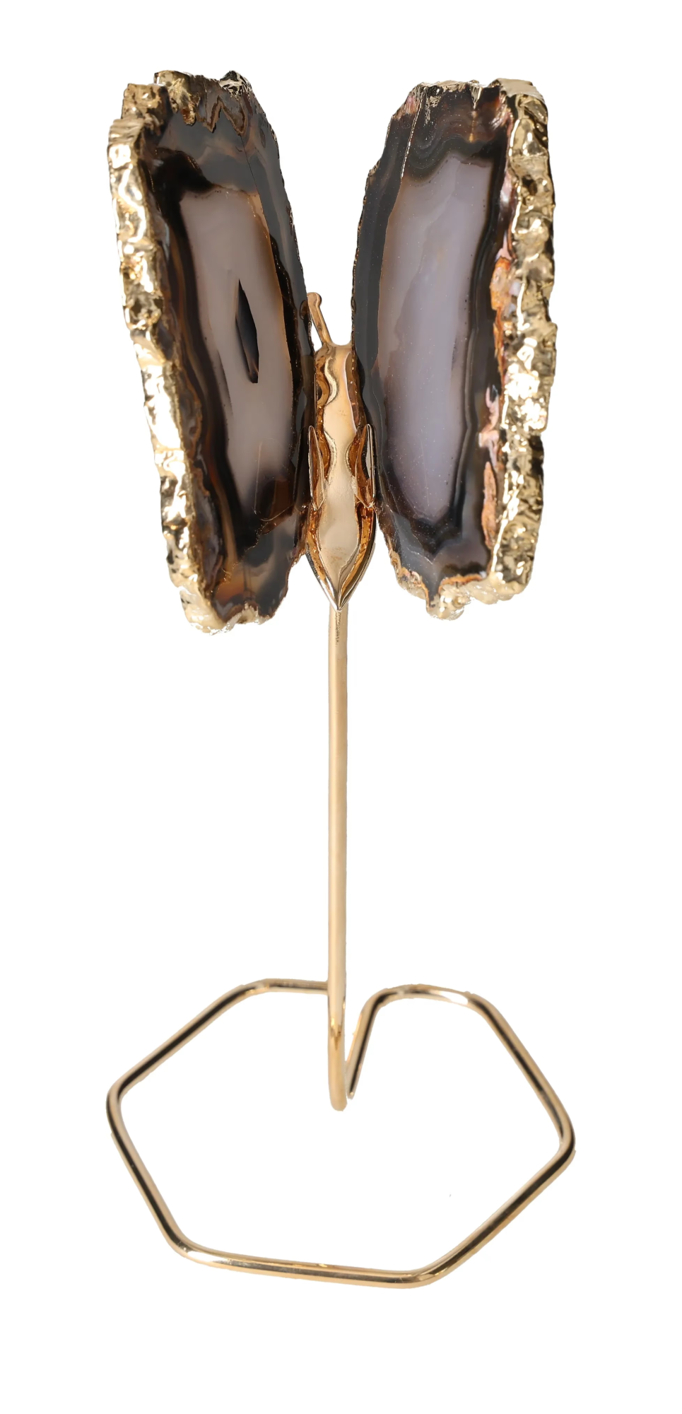 orbitvu|type:image2d