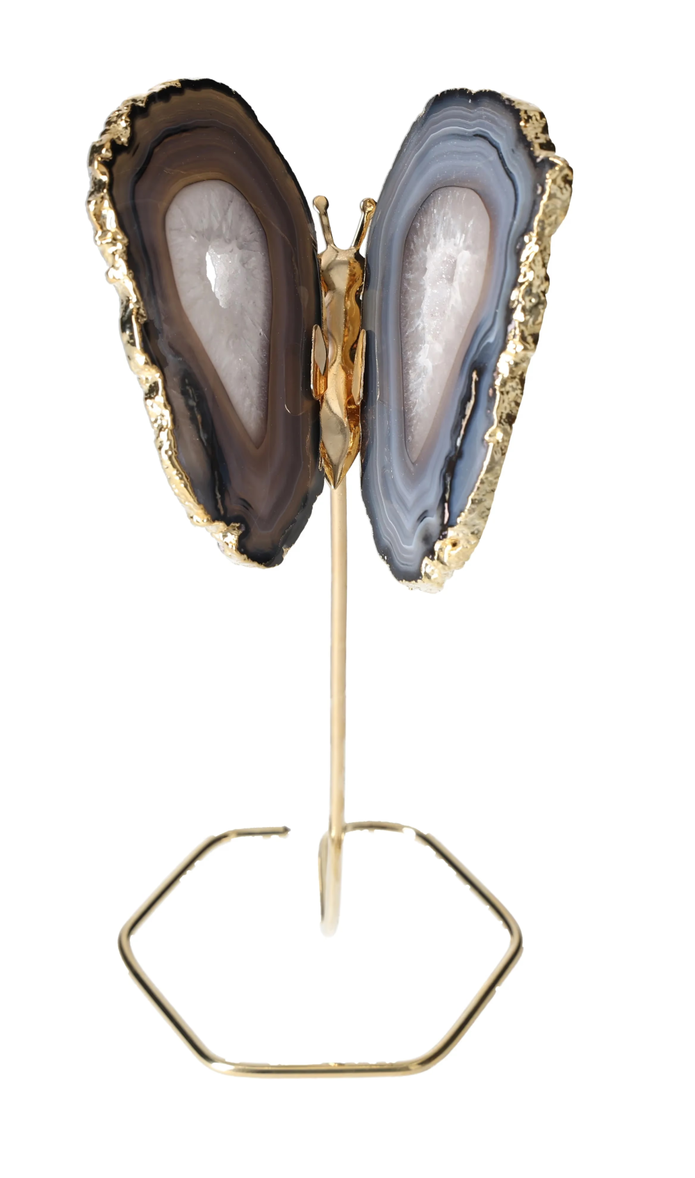 orbitvu|type:image2d