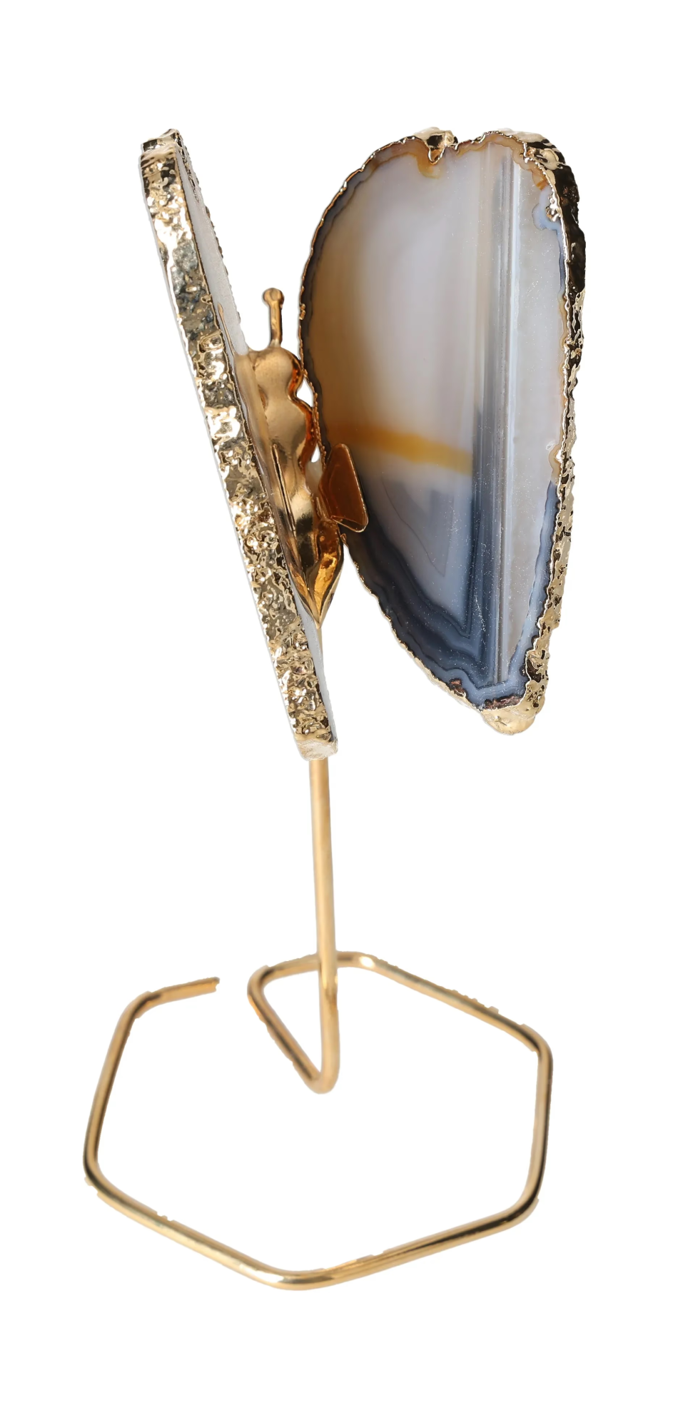 orbitvu|type:image2d