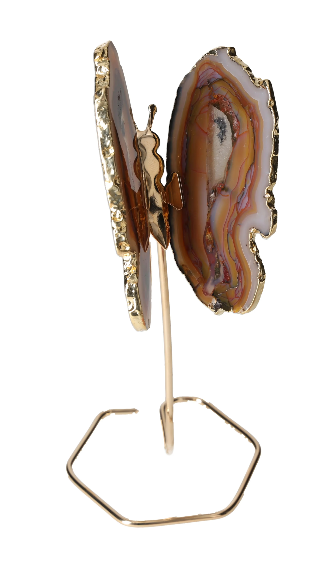 orbitvu|type:image2d