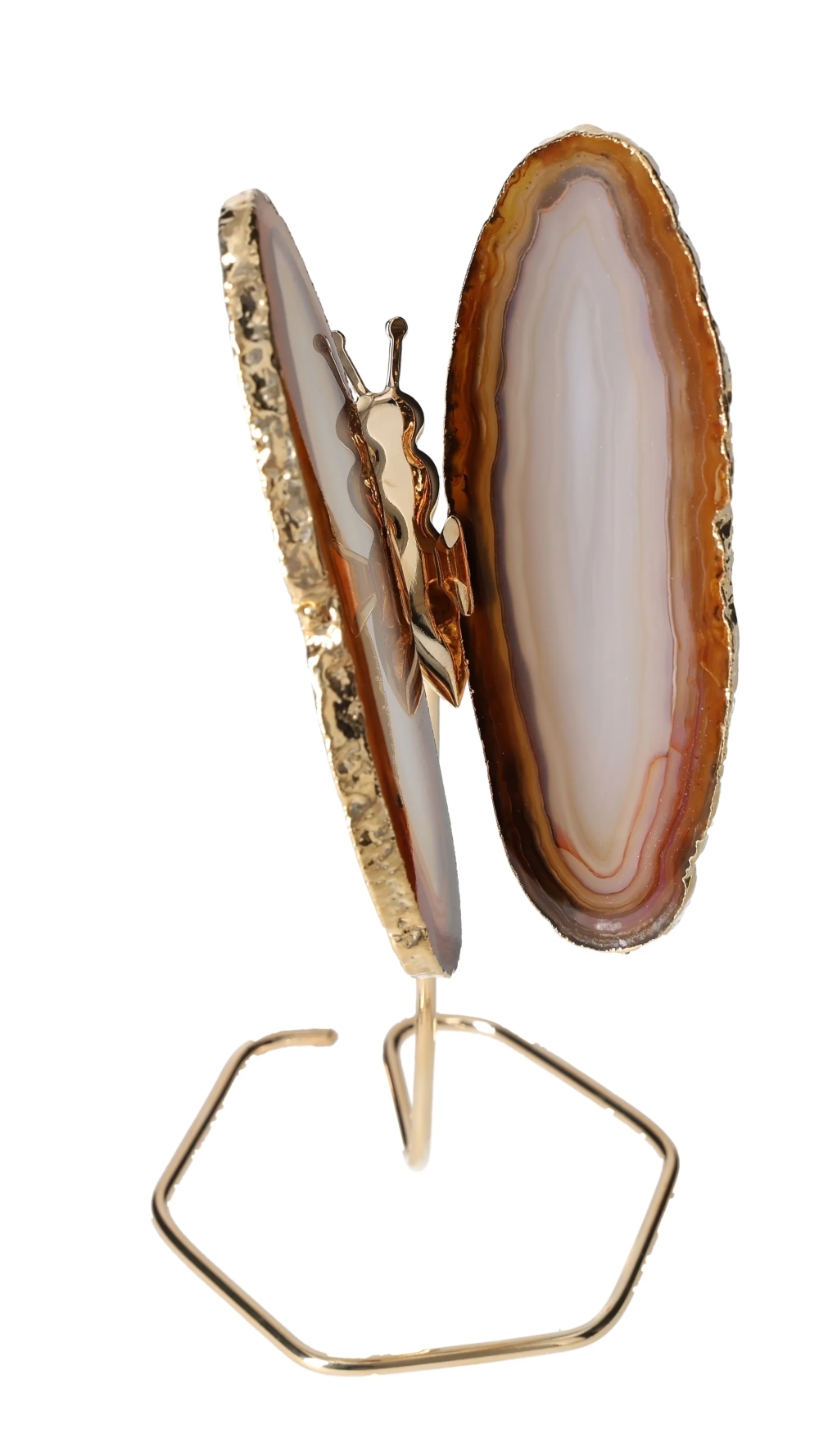 orbitvu|type:image2d