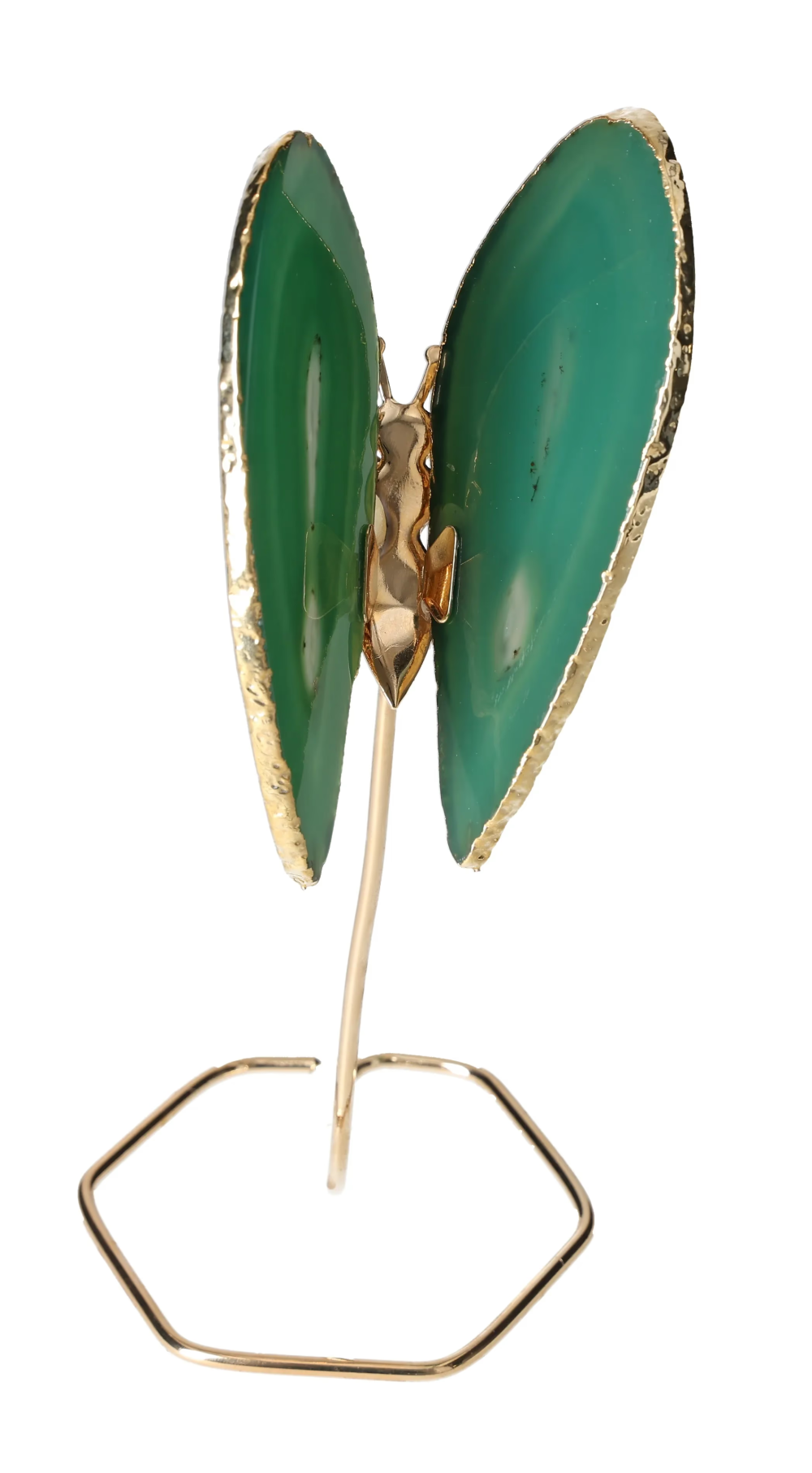 orbitvu|type:image2d