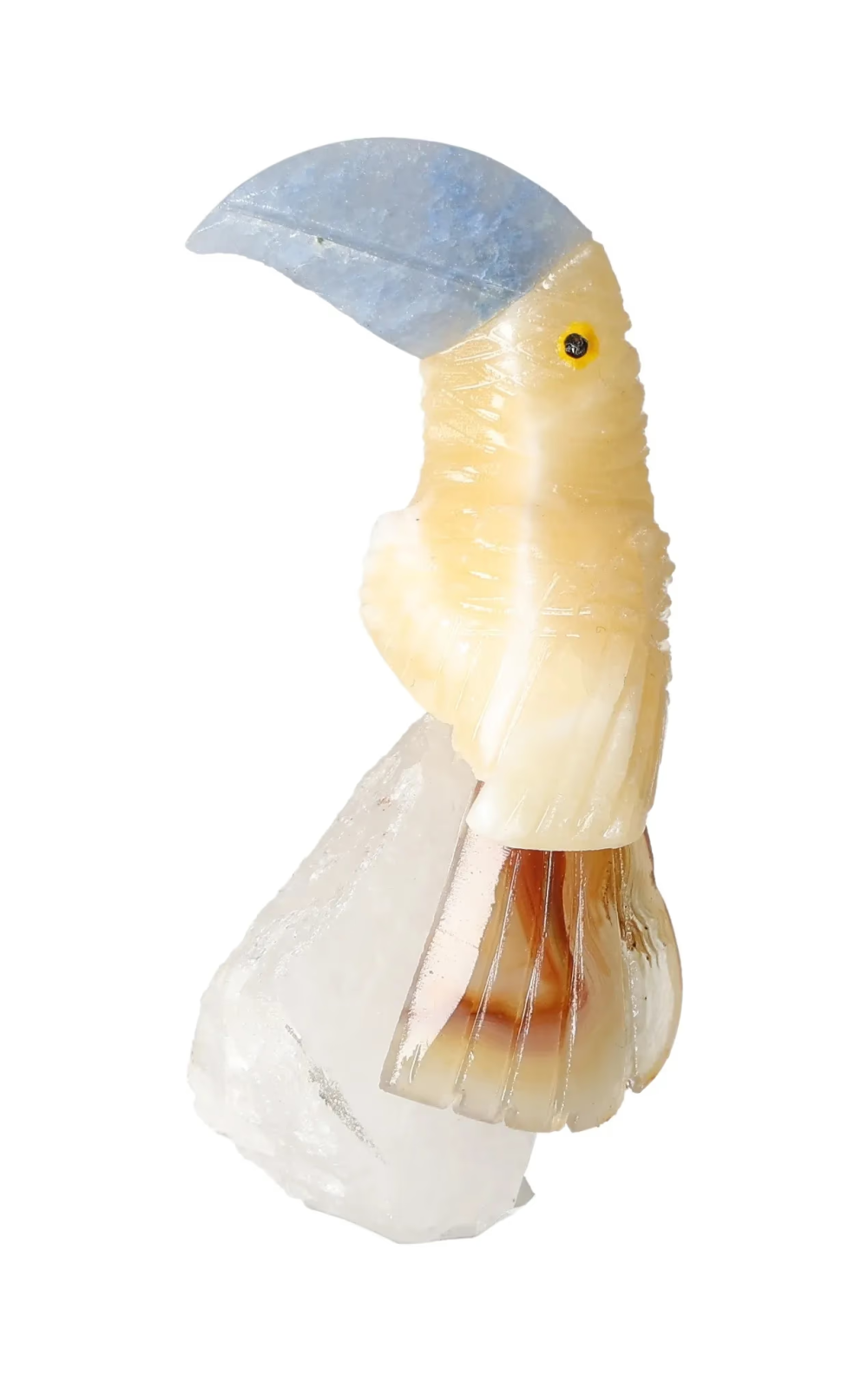 orbitvu|type:image2d