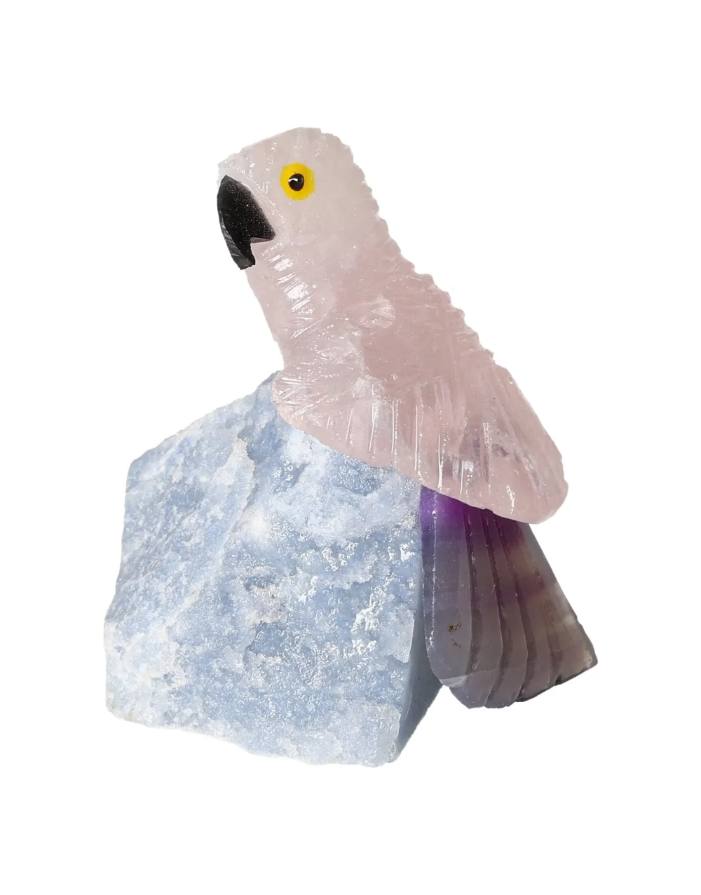 orbitvu|type:image2d