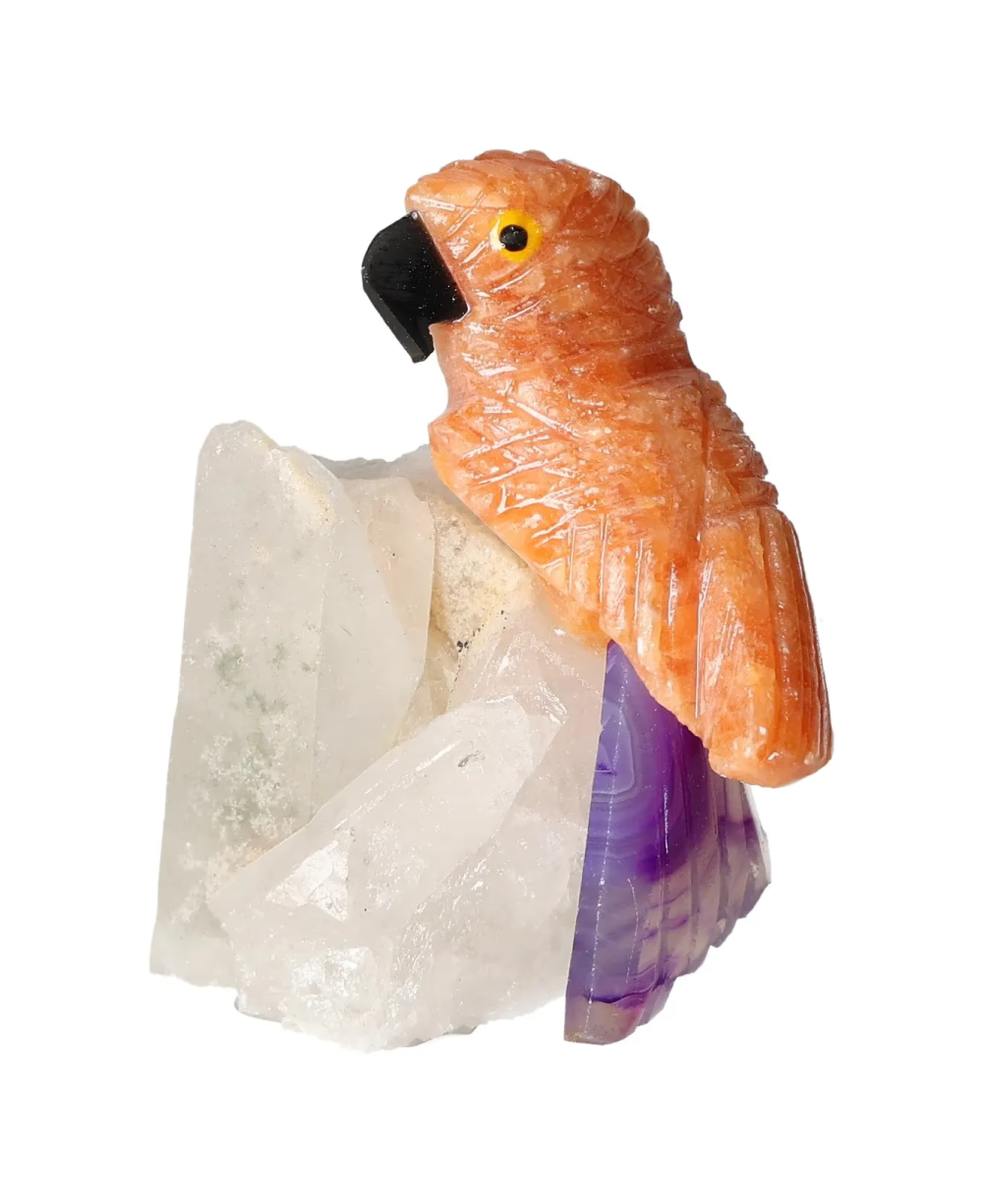 orbitvu|type:image2d