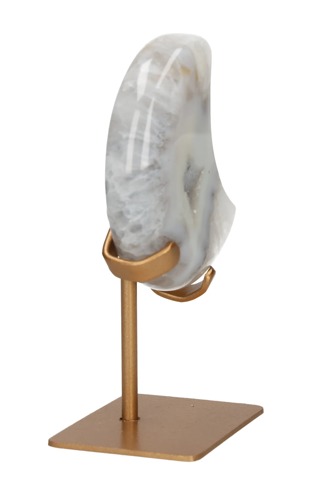 orbitvu|type:image2d