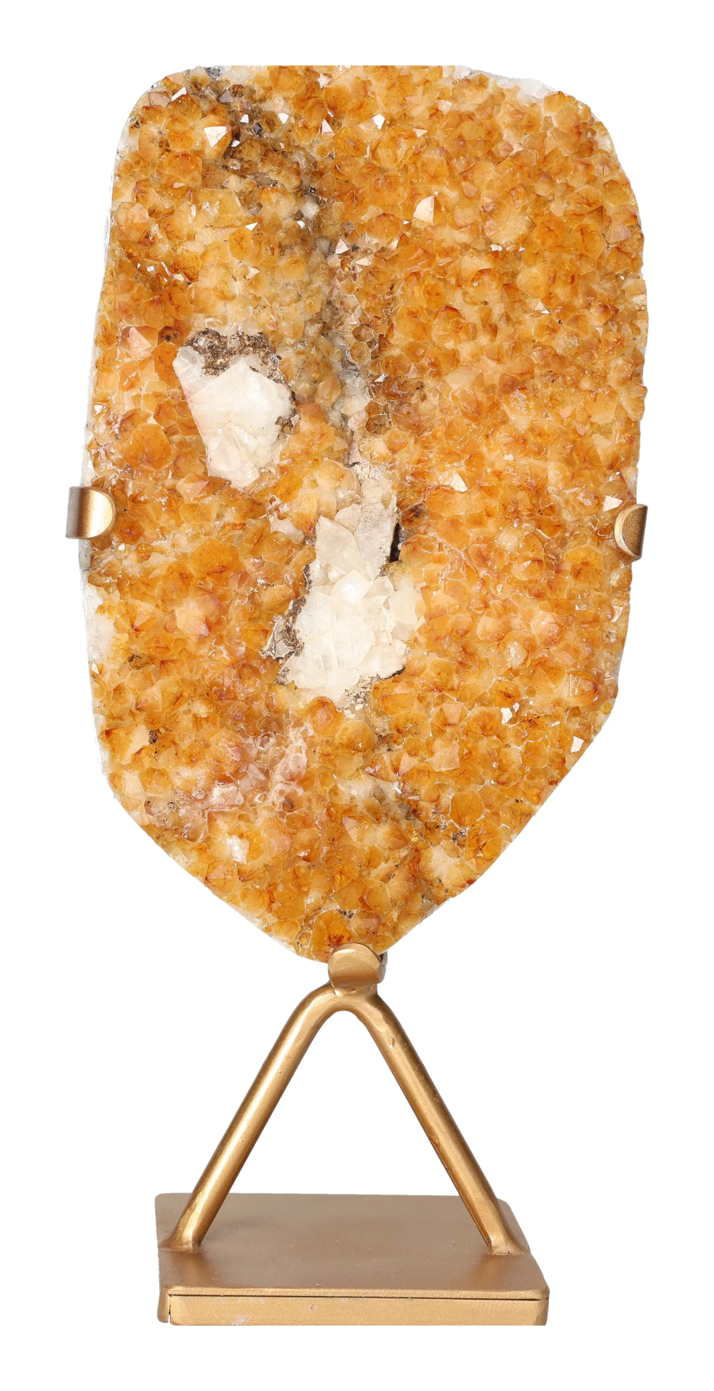 orbitvu|type:image2d