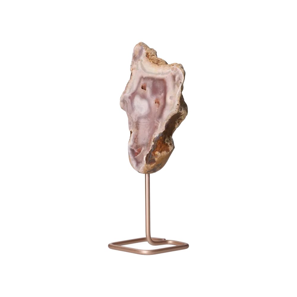 orbitvu|type:image2d
