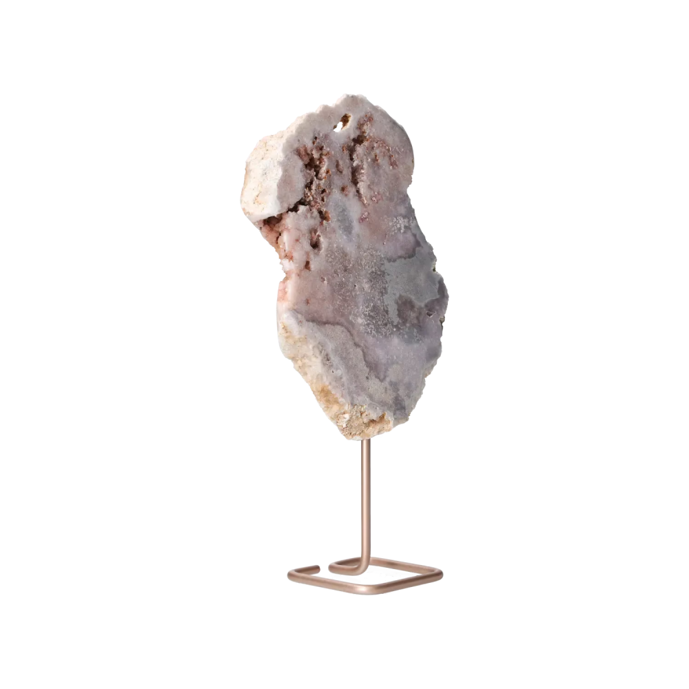 orbitvu|type:image2d