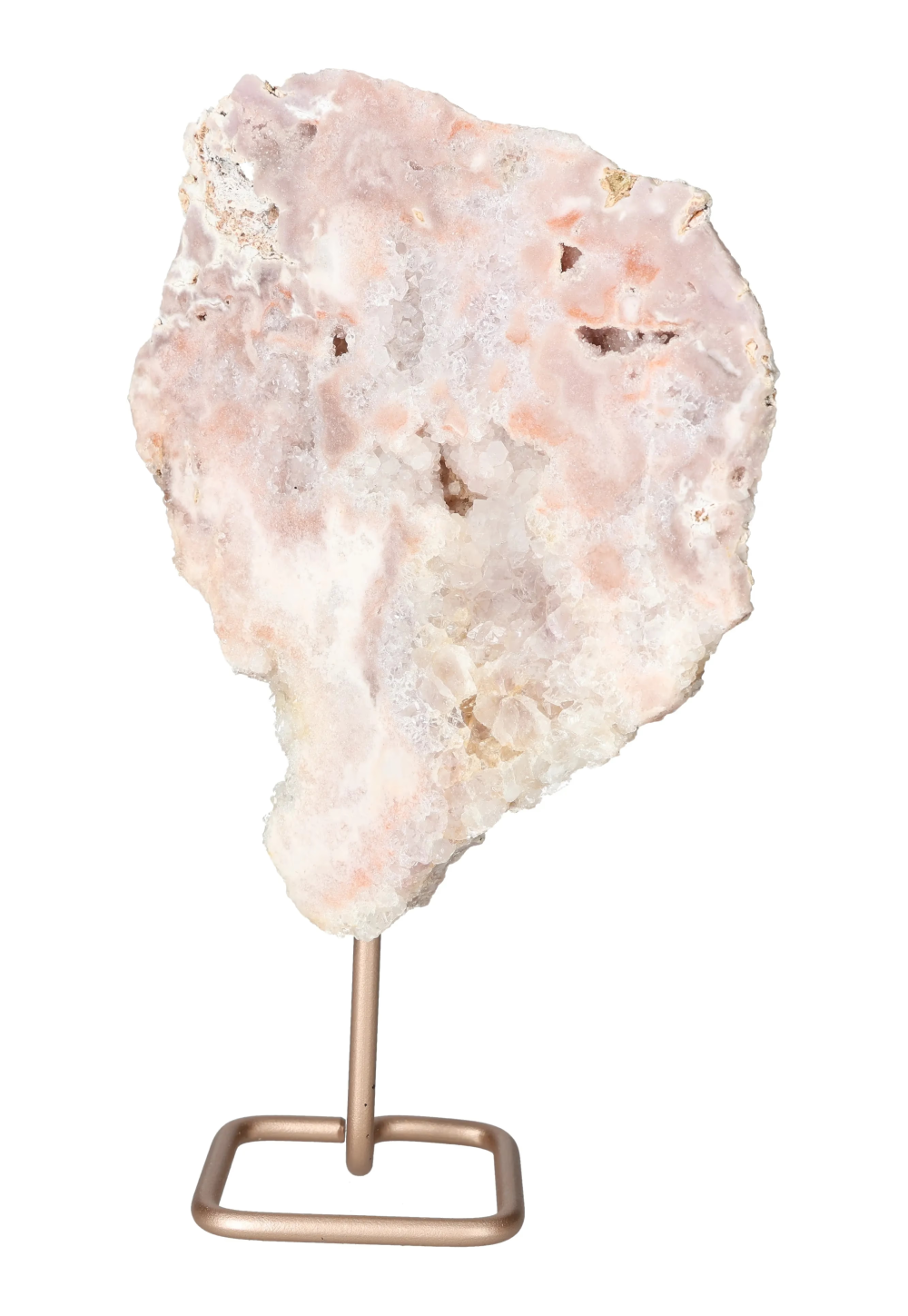 orbitvu|type:image2d