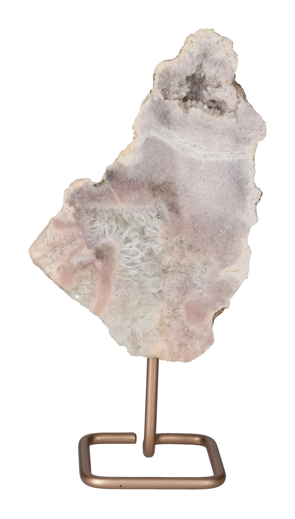 orbitvu|type:image2d