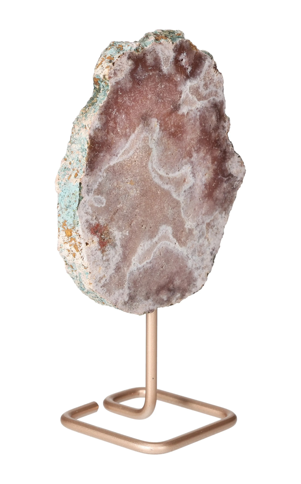 orbitvu|type:image2d