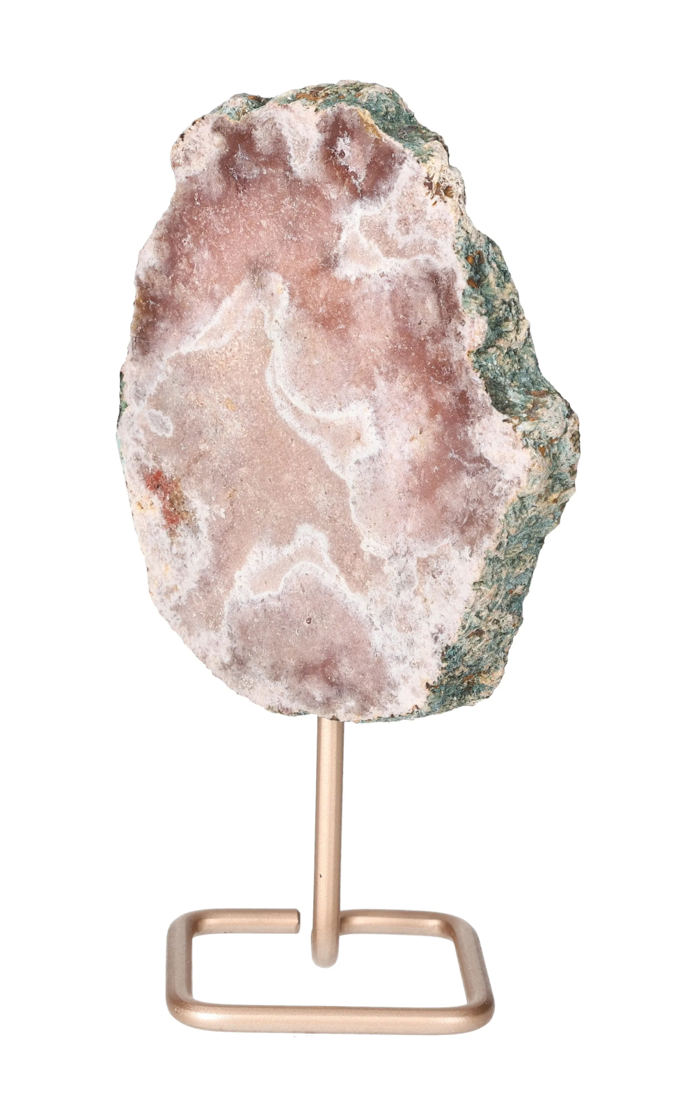 orbitvu|type:image2d