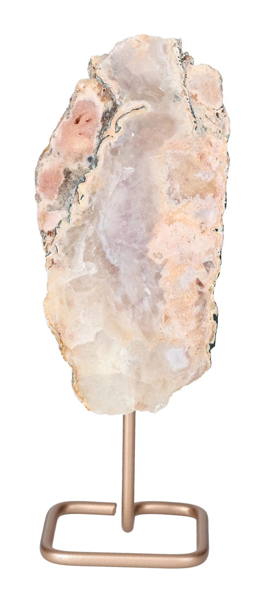 orbitvu|type:image2d