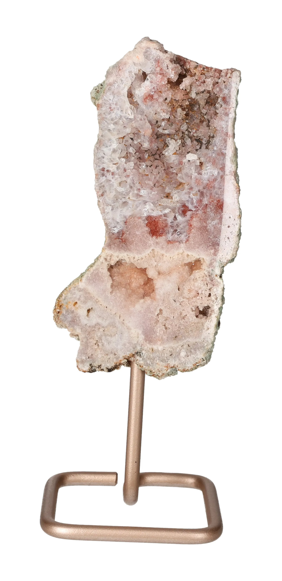 orbitvu|type:image2d