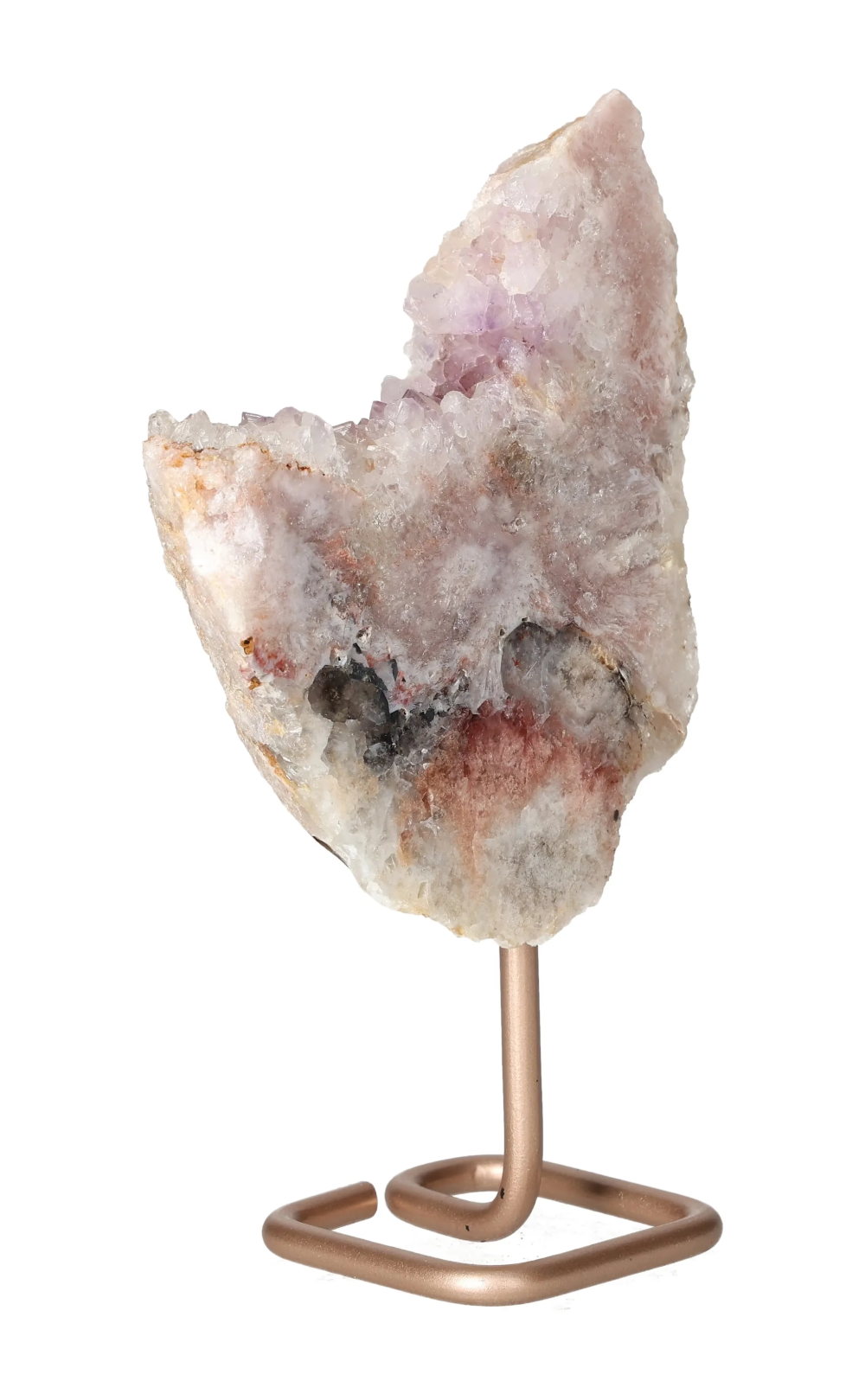 orbitvu|type:image2d