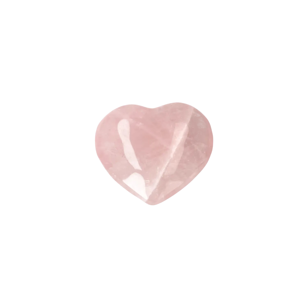 orbitvu|type:image2d