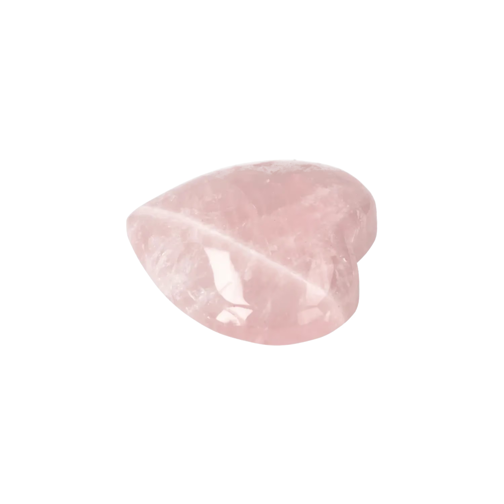 orbitvu|type:image2d