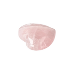 orbitvu|type:image2d