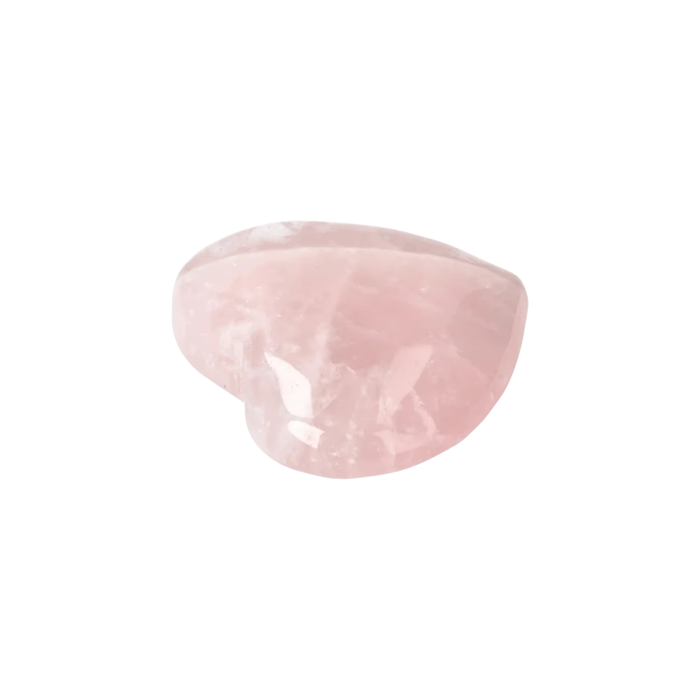 orbitvu|type:image2d