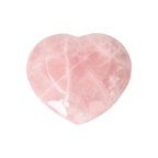 orbitvu|type:image2d